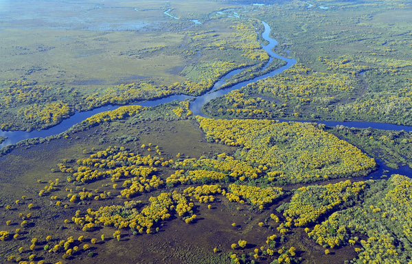 pantanal-incontournable-au-bresil